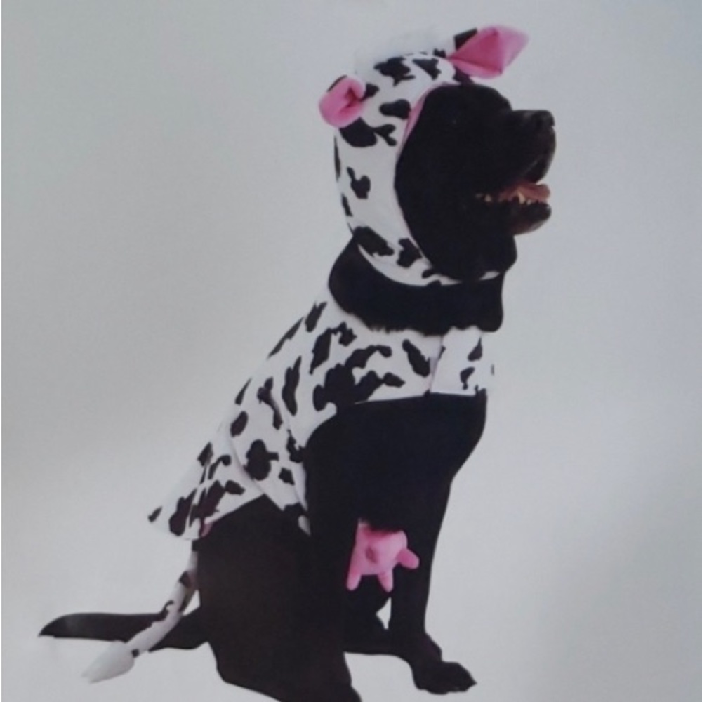 Skull‎ & Bones Dog Cow Halloween Costume Large - Picture 7 of 8